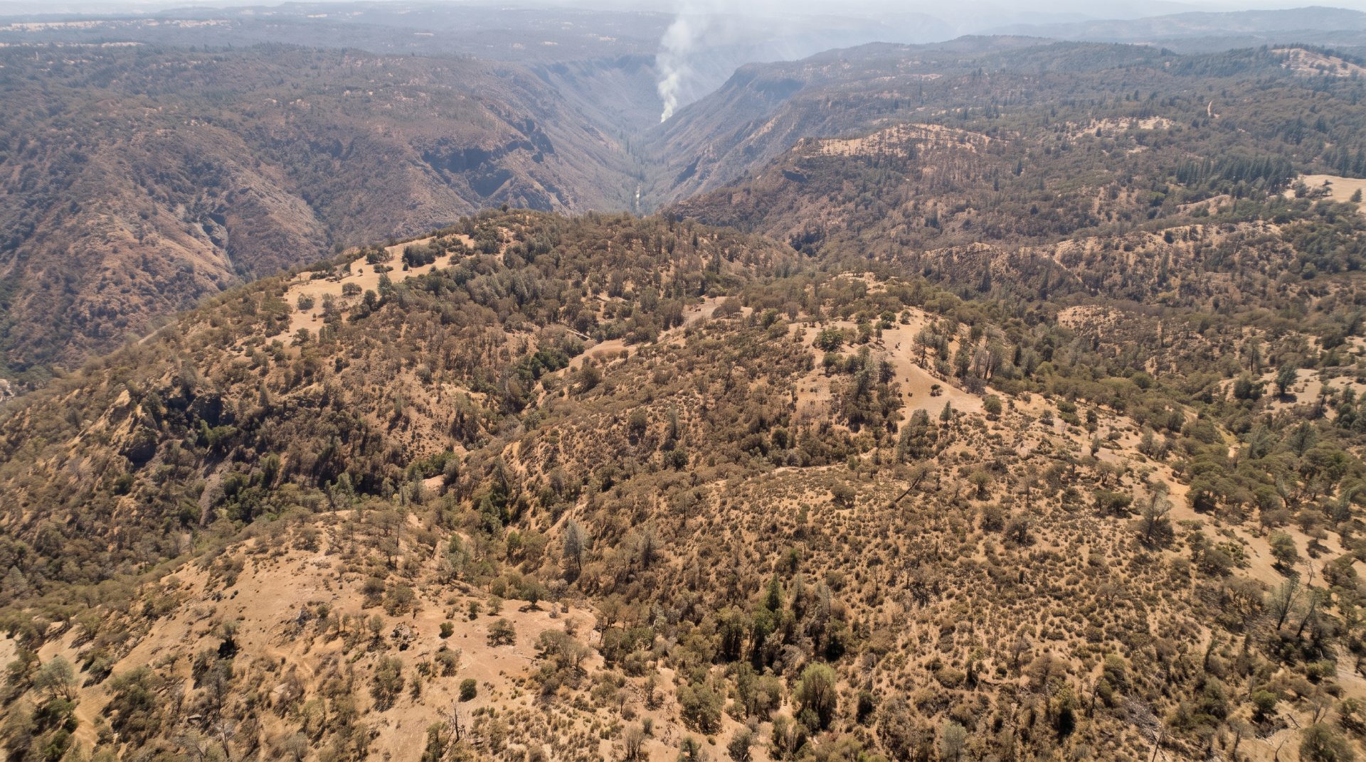 Aerial view of a dry forested canyon with a smoke plume rising from the valley floor